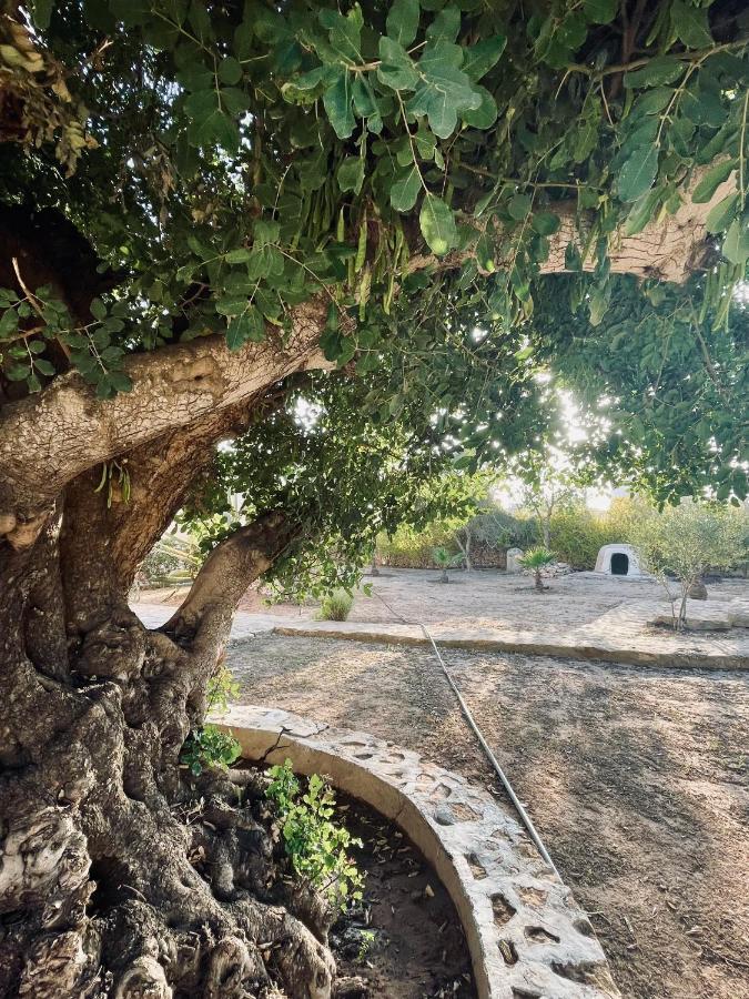 Out Of Medina Bed and Breakfast Εσαουίρα Εξωτερικό φωτογραφία