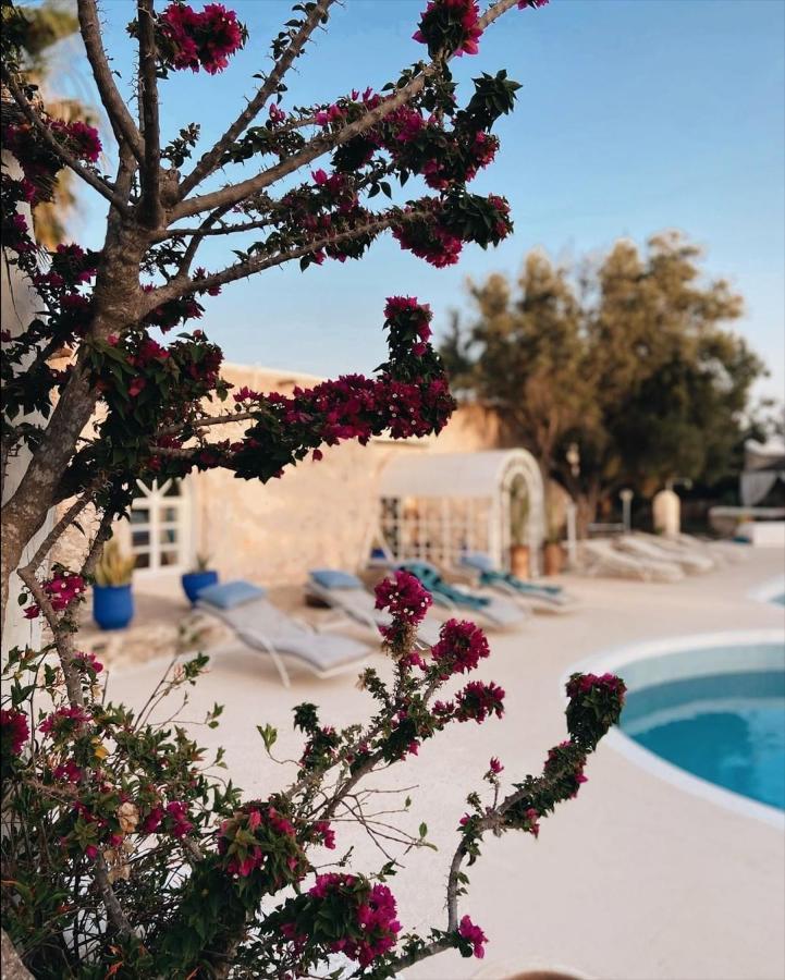 Out Of Medina Bed and Breakfast Εσαουίρα Εξωτερικό φωτογραφία